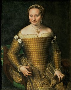 Retrato de la madre del artista, Bianca Ponzoni Anguisciola